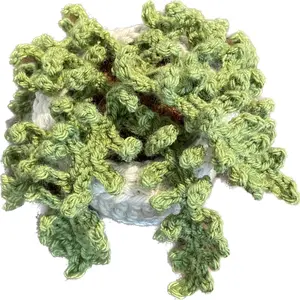 Everlasting Fern
