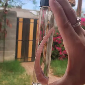 Octopus Tentacle Wet Specimen