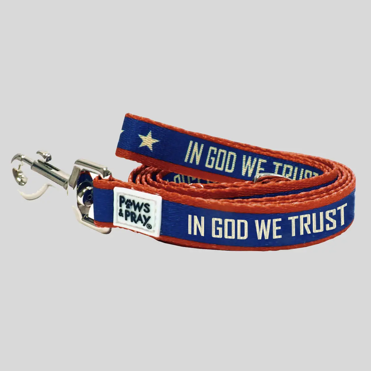 Patriotic Dog & Cat Pet Leash - In God We Trust, 60 Inches (60" x 3/4"), Compatible with Pet Collars, Paws & Pray Design