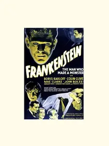 Frankenstein Film Movie Poster Many Sizes Available