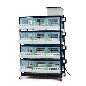 Chick Brooder - 4 Layer H: 9.5" - Compact 4-Layer Brooder with 9.5" Height for Early Growth