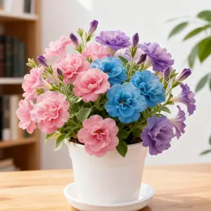 Dwarf Double Petunia - Multi-layered Petals, Prolific Blooming, No Trellis Needed to Save Space, Easy-to-grow Flower for Indoor & Outdoor, Suitable for Gardens, Windowsills & Tabletops