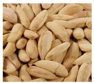 Organic Afghani White Almonds 1 lb – Premium Natural Whole Nuts | Fresh, Crunchy, High Protein, Omega-Rich, Nutrient-Dense Superfood, Healthy Vegan Snack, No Additives, Traditional Farm-Fresh Badam for Energy & Daily Nutrition