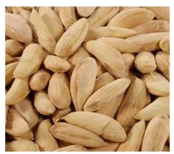 Afghan White Blanched Almonds 1lb | Organic, High Protein, Omega Rich & Skin Healthy