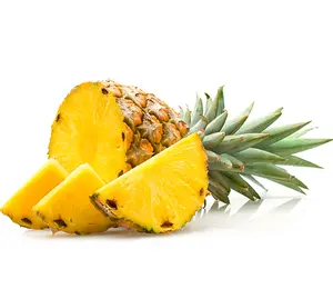 Elite Gold Pineapple Plant Live for Planting, Sweet Pineapple Plant Live Plant for Outdoor 4 to 6 Inch Tall