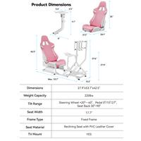 Pink Cockpit + TV Mount