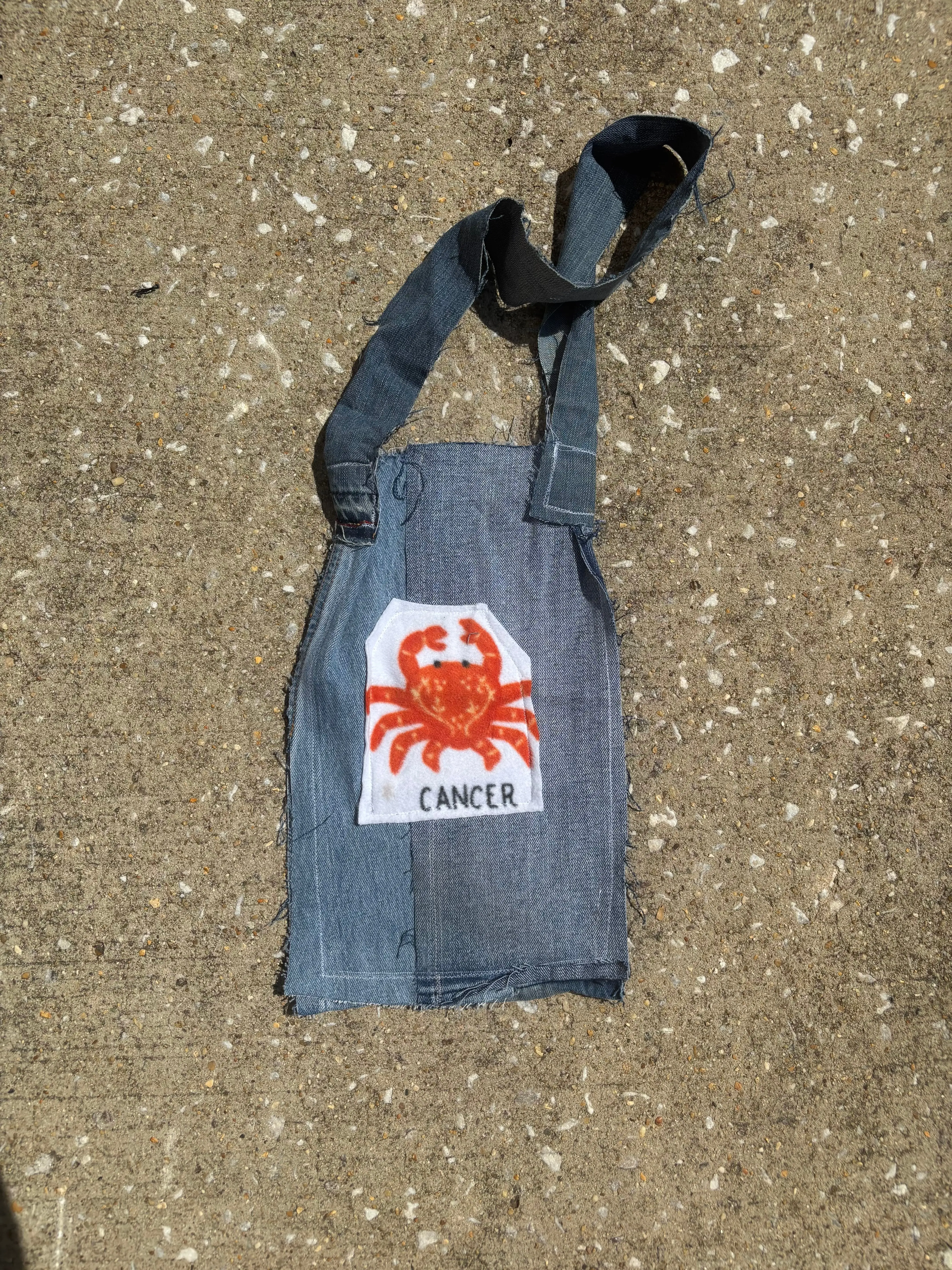 Cancer Denim Tote Bag