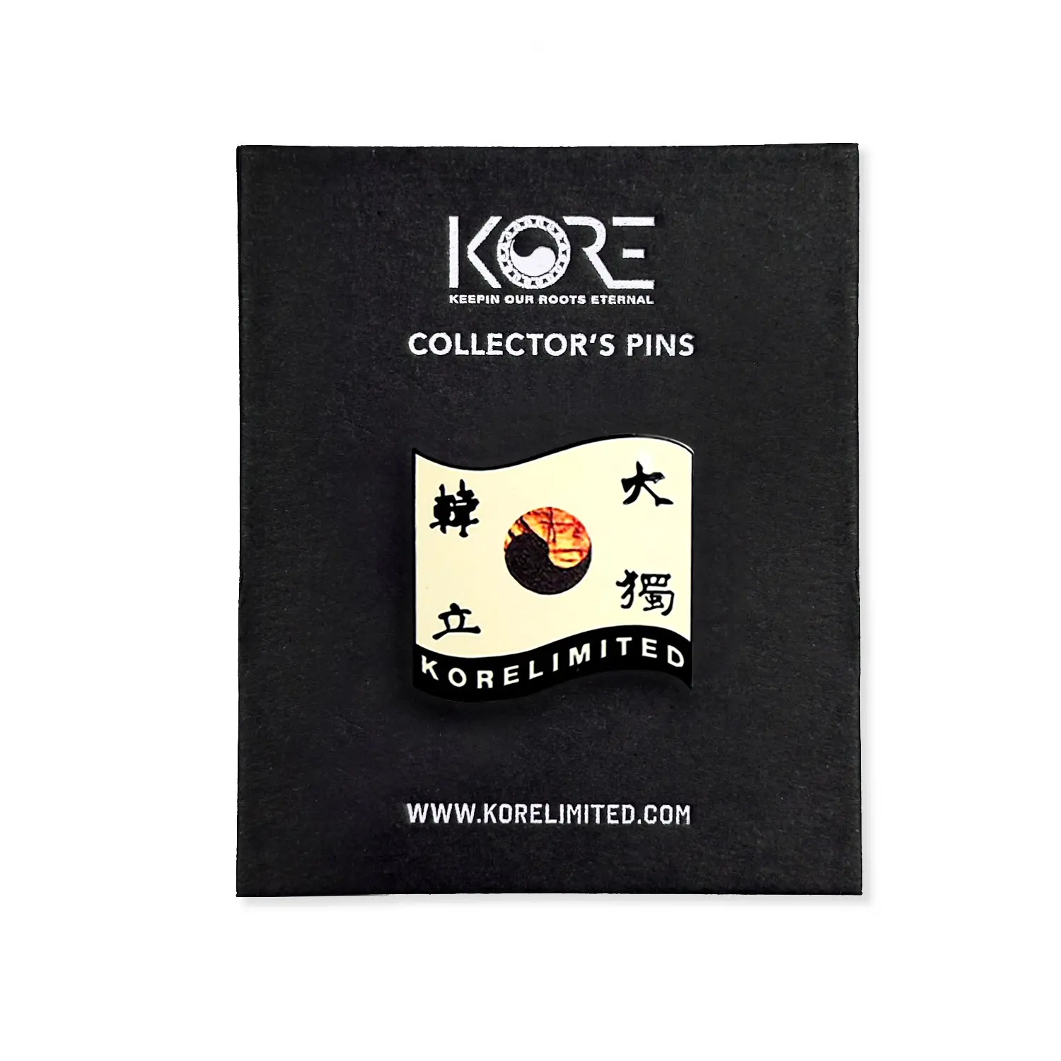 1909 AHN FLAG PIN