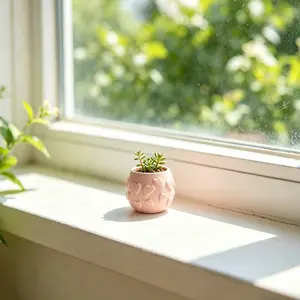 Heart Mini Succulent Planter, Style Desktop Flower Pot, Window Side Sunlight Sensation, Healing Small Flower Pot