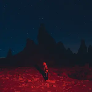 Phoebe Bridgers: Punisher LP - Black Vinyl