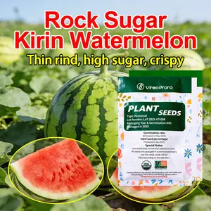 50pcs Black Diamond Watermelon Seeds for Planting | Heirloom Non-GMO Sweet Giant Fruit Seeds for Home Garden Backyard