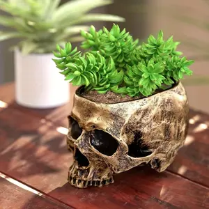 Gothic Skull Desktop Plant Pot, Breathable Anti-Root Rot, Perfect for Restaurant Office Entry Desk Window Sill, Halloween Decoration