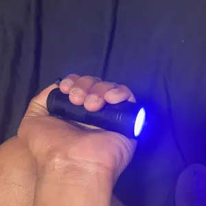 2 Pack - 12 LED Handheld Black Light, Black Light UV Flashlight,  Small UV Lights 395nm, Portable Pet Stain Detector for Dog Urine Scorpions Bed Bugs.