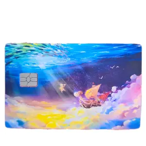 The Going Merry credit card/ debit card skin