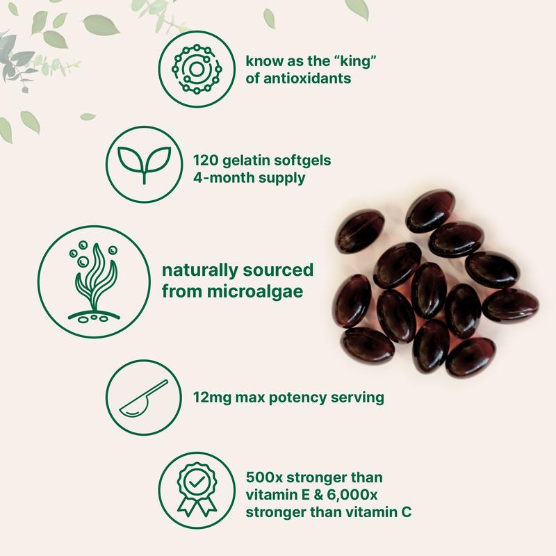 Micro Ingredients Astaxanthin 12mg, 120 softgels | 4 monthly Supply, Natural Tanning, Fresh Microalgae Source, Easy to Swallow