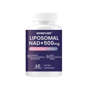 Liposomal NAD + 500 mg improves