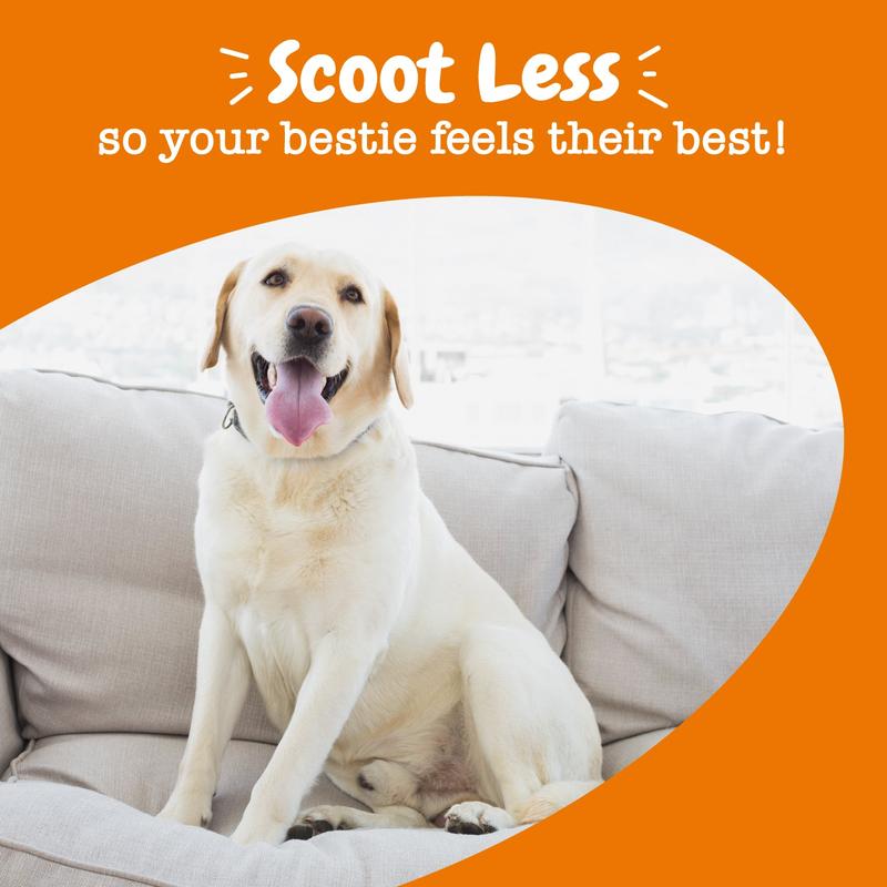 Zesty Paws Scoot Away Bites™ for Dogs Feeding - 90 Soft Chews with VitaFiber & Mineral Oil for Gut Health & Bowel Function Support