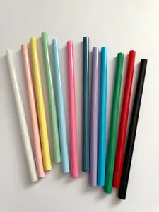 Reusable Straw- Plastic BPA free Reusable Straw- Plastic BPA free