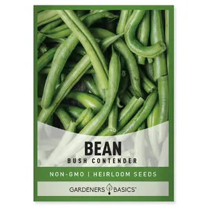 Bush Contender Bean Seeds