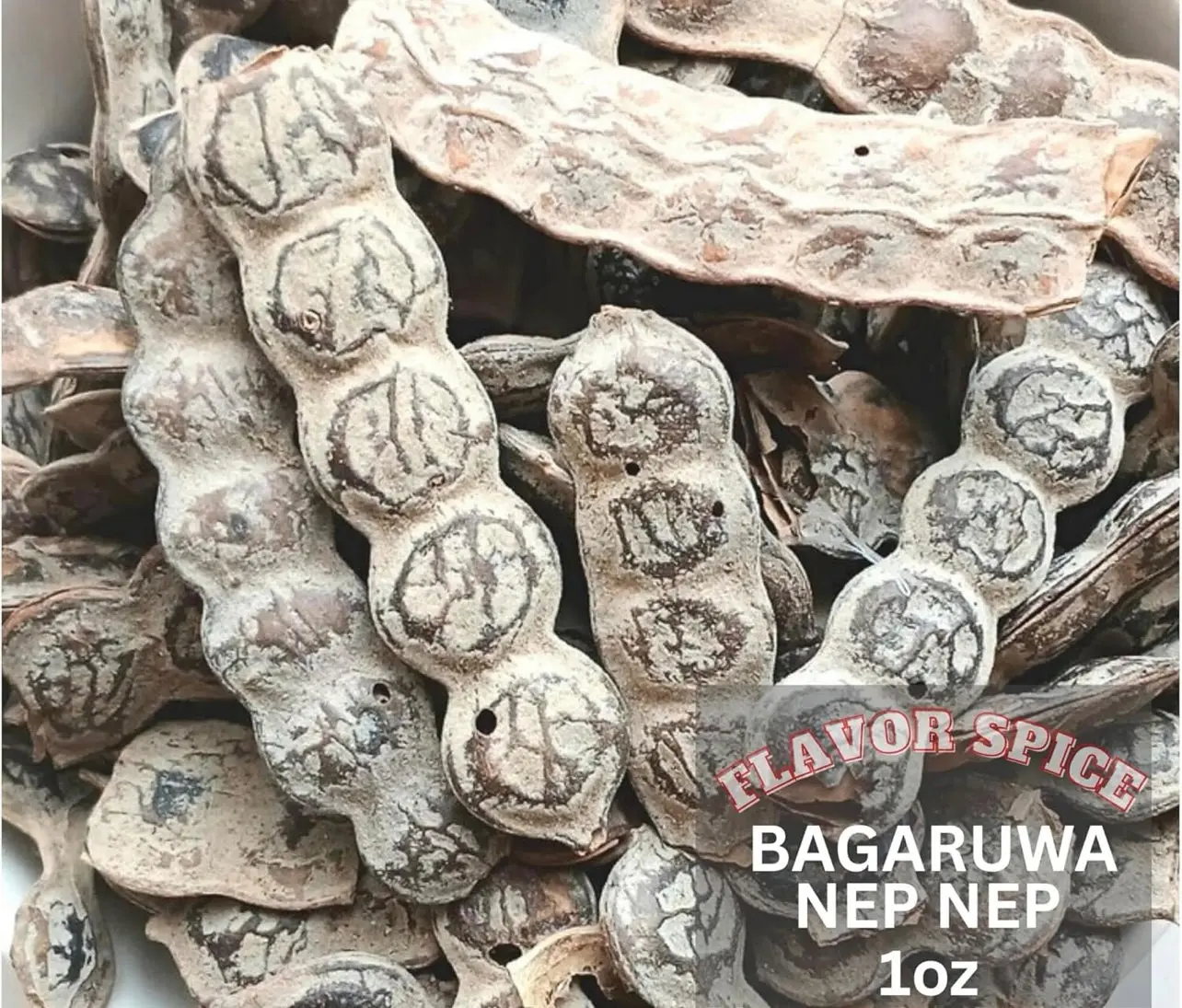 Nep Nep Acacia Nilotica Spice Seed