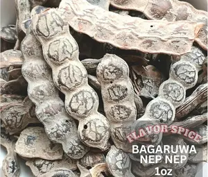 Nep Nep Acacia Nilotica Spice Seed