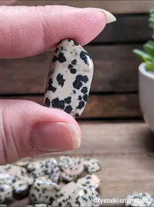 Dalmatian Jasper healing tumble stones Consciously Sourced