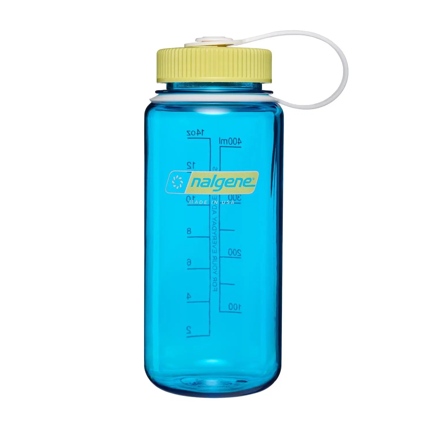 Blue Atoll with Endive