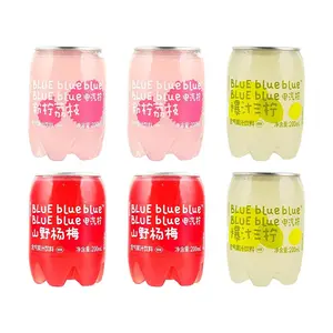 Lemon Republic Mini Sparkling Juice Drink Variety Pack - 3 Flavors (Wild Berry, Pink Lemonade, Triple Citrus) 200ml x 6 Bottles - Low Calorie, Low Sugar
