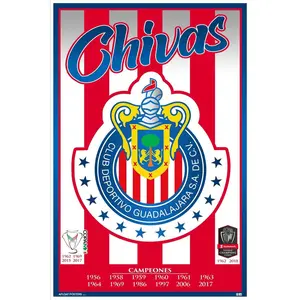 CD Guadalajara Chivas Poster, Liga MX Poster, Souvenir for Football Lover, Soccer Gifts, Birthday Gifts for Him