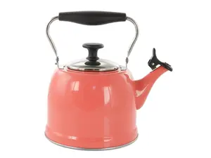 Martha Stewart Everyday Lily Pond 2.2 Quart Stainless Steel Tea Kettle in Coral