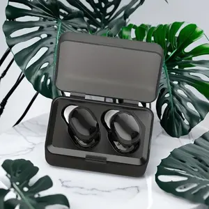 Audien Hearing  Hearing Aids with Care Kit & Protection Plan