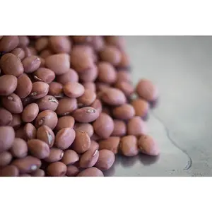 Rancho Gordo Santa Maria Pinquitos  - 1 lb.