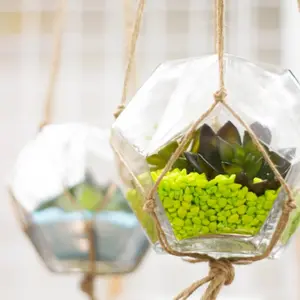 6.25"D Geometric Terrarium Bowl - Beckham Glass Vase