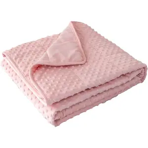 Weighted Blanket with Minky Duvet  Season,Reversible Soft Heavy Weighted Blanket for Adult (5lb,36in*48in)