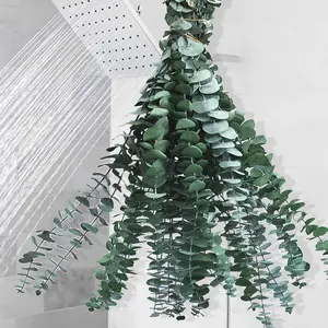 12 PCS Dried Eucalyptus Stems for Shower - 17" Large Preserved Eucalyptus Leaves Bundle Made from Real Fresh Eucalyptus Green Plant Artificial Flowers Bouquet Hanging