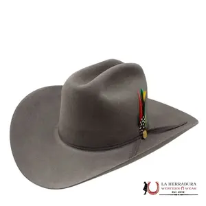 STETSON 6X BULLET COPA ALTA EDICION ESPECIAL 160 ANNIVERSARIO Felt6XBullet Band5 Dollar Pin4" Brim5" Crown Leather Sweatband Unisex Hat