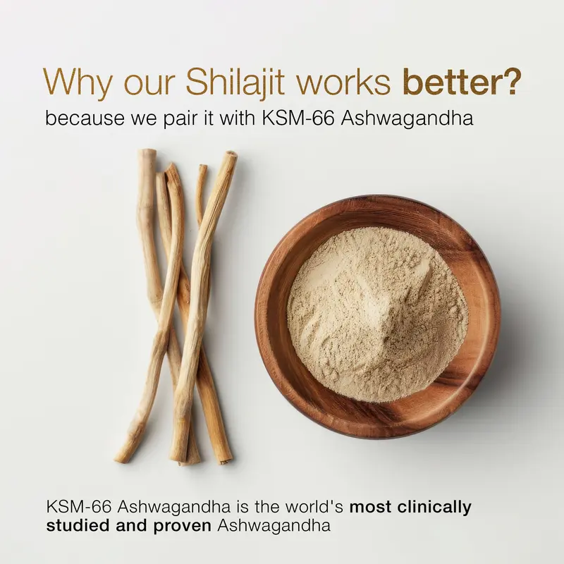 Be Bodywise by Root Labs Pure Himalayan Shilajit Gummies | New Year New Me Edition | 3000 mg with KSM-66 Ashwagandha, Gokshura, Saffron, Black Musli | Fulvic Acid & 85+ Trace Minerals | No Added Sugar | Natural Strength, Focus & Stamina Support 3