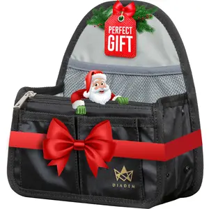 Diadem Mini Backpack Organizer Insert – Perfect Fit for Your Favorite Mini Backpacks – Bag Organizer For Backpack – Fits in Shoulder Bags, Travel Bags, Handbags, and Purses – 10 Pockets