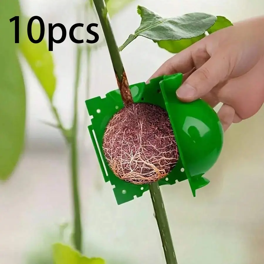 10pcs Tree Root Planting Box, Rooting Ball Transplant Tool, Plantroot High Pressure Box, Grafting Cuttings Root Device, Air Layer Pod, Outdoor Planting Boxes, Grow Box, Garden Supplies