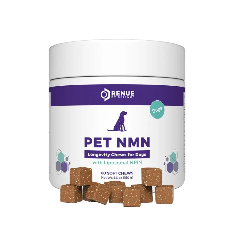 Renue by Science LIPO Glutathione - 90 Vegetarian Capsules, Powdered Liposomes, Edible Supplement for Healthcare, Beauty & Fitness - TikTok Shop Renue by Science LIPO Glutathione - 90 Vegetarian Capsules, Powdered Liposomes, Edible Supplement for Healthcare, Beauty & Fitness - TikTok Shop