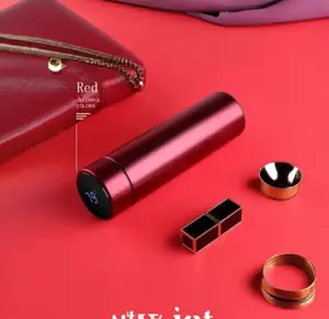 smart thermos/water bottle with accurate temperature display 8 different colors