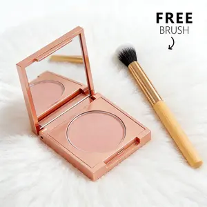 Colored Clay CC Undereye Corrector with Free Precision Brush for Flawless Application Long Lasting Crease Resistant Finish