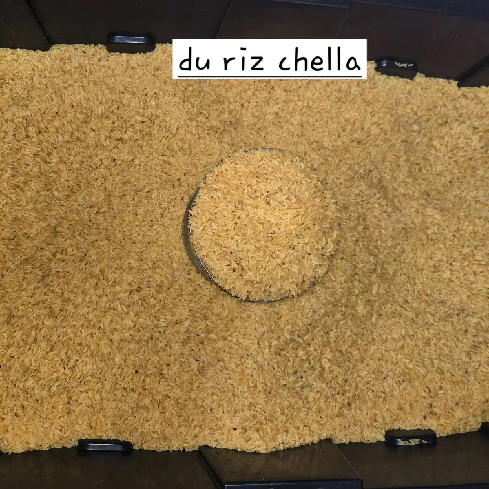 Du Riz Chella