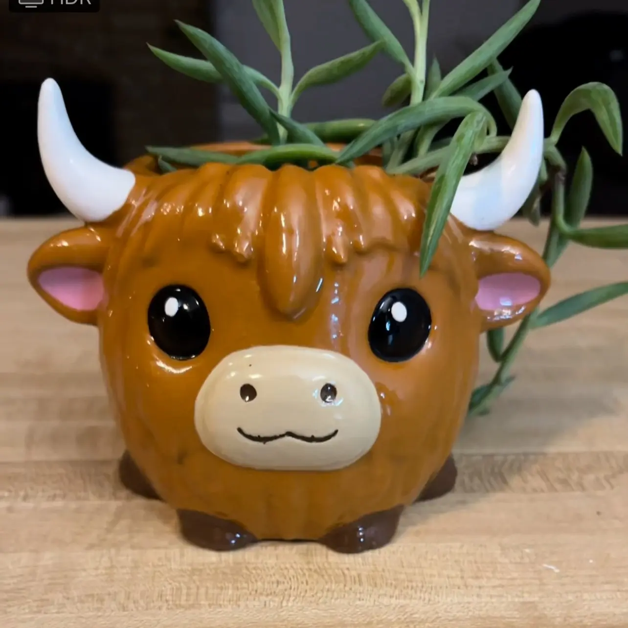 Fluffy Highland Cow Planter – Handmade Rustic Animal Pot | Perfect Gift for Plant Lovers & Cow Fans | Unique Succulent Planter