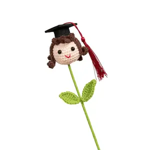 Graduation Hat Boy/Girl/Dog Bouquet for Ceremony Decorations Hand-woven Flower