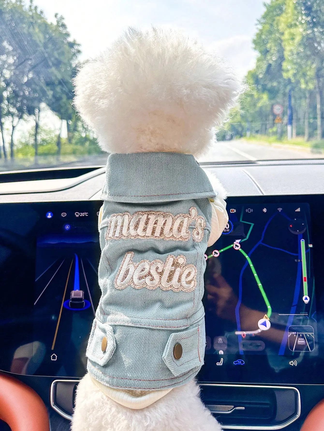 AESS x PETSIN Pet Dog "Mama's Bestie" Cute & Fashion Embroidery Pattern Casual Pullover Jacket Leash Attachable