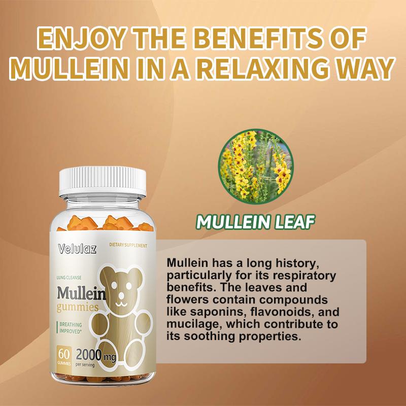 Wild & Organic Mullein Gummies for Lungs 2000mg - Lung Detox and Cleanse - Vegan Mullein Leaf Gummies for Immune Support - 60 Non-GMO Herbal Extract Chews Healthcare Fitness