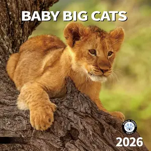 2026 Wall Calendar, Calendar 2026, July 2025 - December 2026, Wall Calendar  Big Cats, 12" x 24" Opened,Full Page Months Thick & Sturdy Paper for Calendar Organizing & Planning