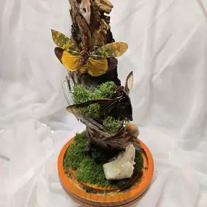 The Raven's Altar - Bone Crystal & Cicada Shrine Ethically Sourced Terrarium with Raven Skull Preserved Cicada Butterfly Wooden Base 8x5 Inches