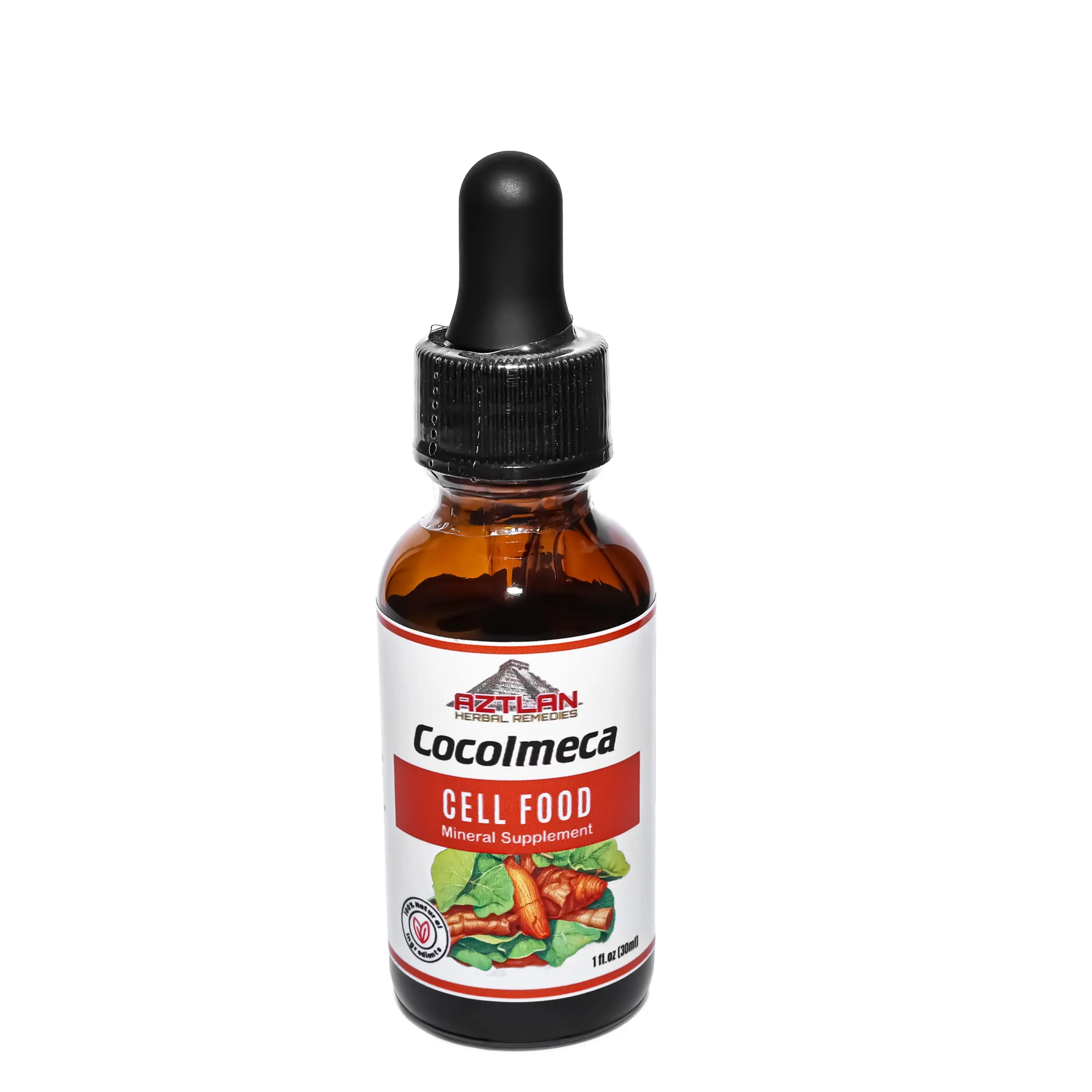 Aztlan Cocolmeca Smilax Dominquensis 1 oz Dried Herb Supplement for Healthcare Fitness & Dietary Support